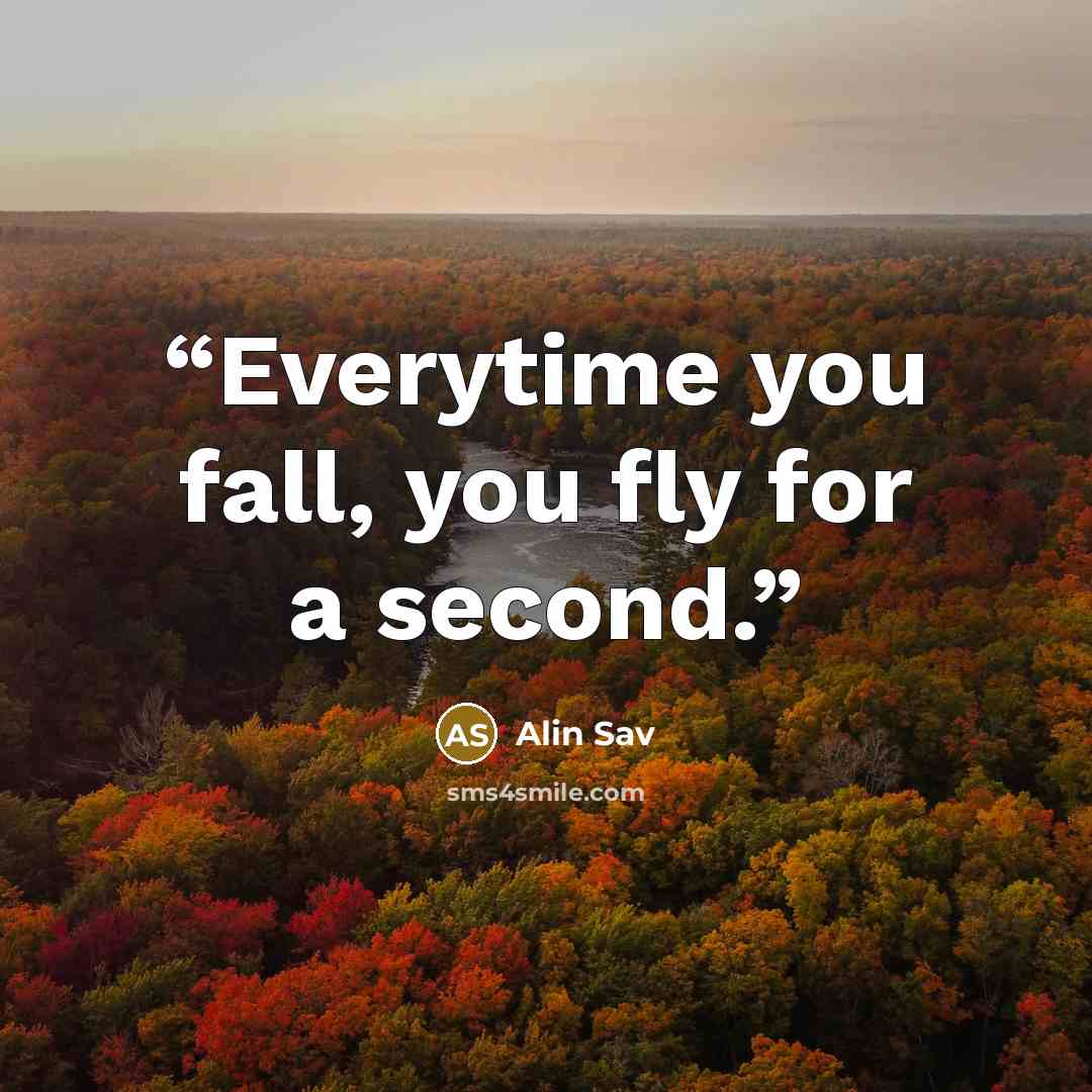 “Everytime you fall, you fly for a second.” quote by Alin Sav