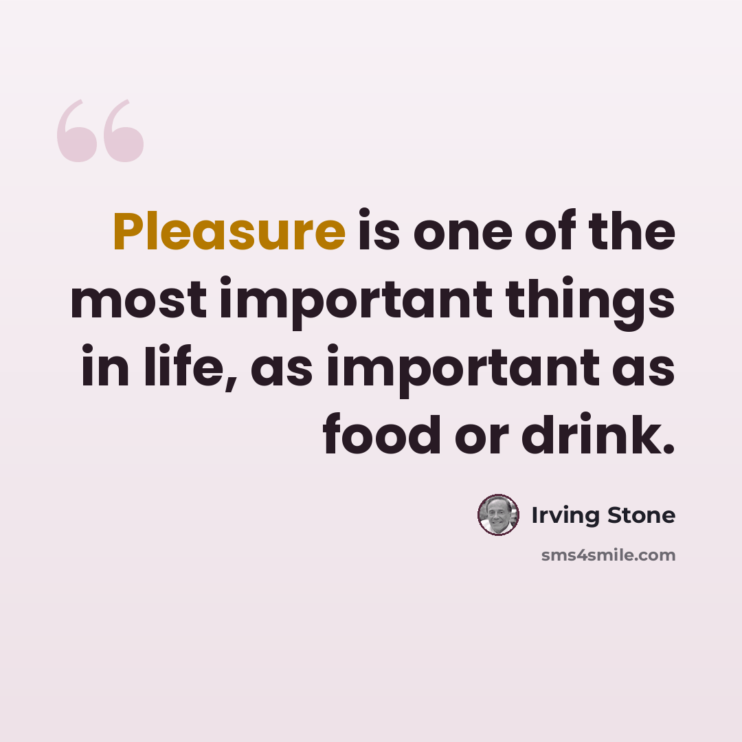 “Pleasure is one of the most important things in life, as important as food or drink.” quote by Irving Stone