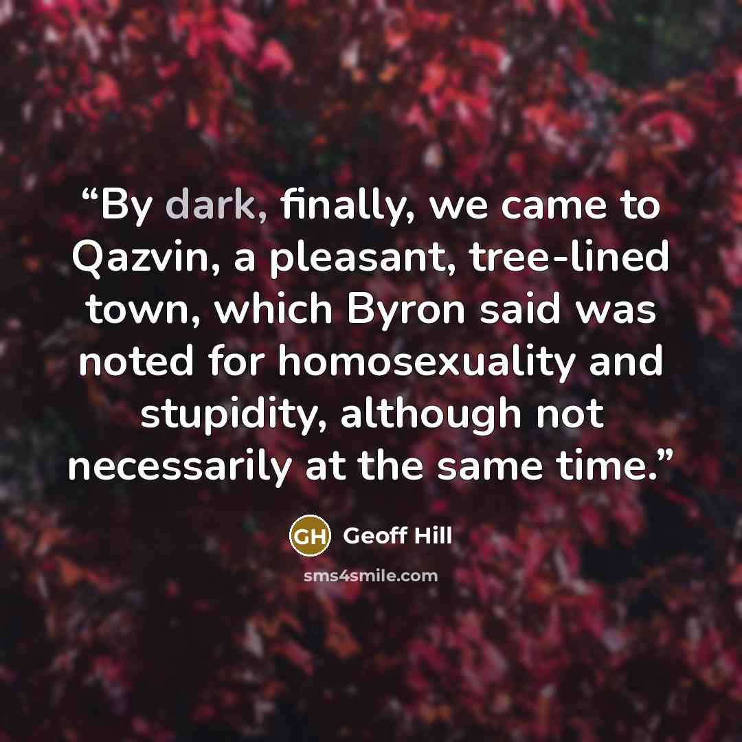 “By dark, finally, we came to Qazvin, a pleasant, tree-lined town, which Byron said was noted for homosexuality and stupidity, although not necessarily at the same time.” quote by Geoff Hill