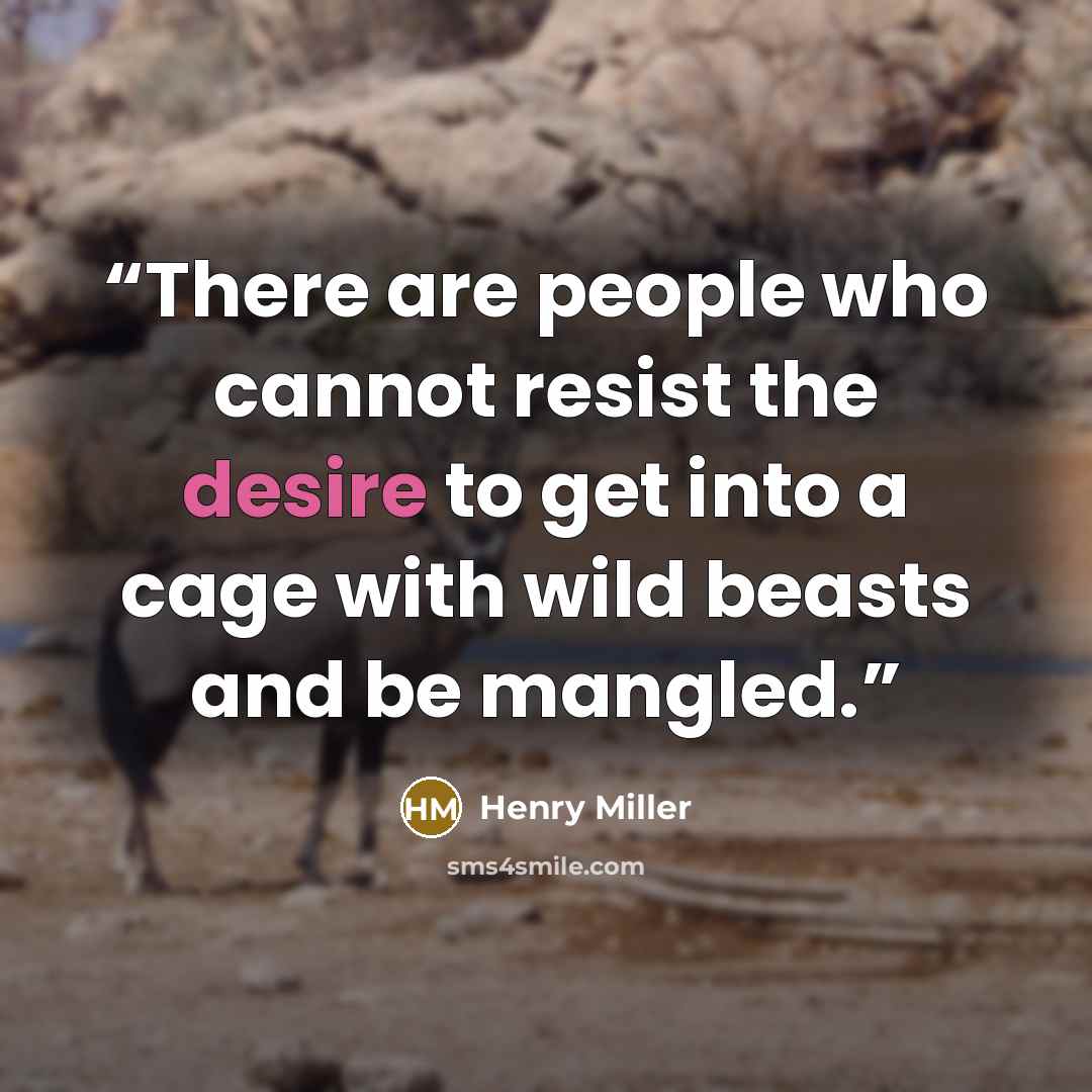 “There are people who cannot resist the desire to get into a cage with wild beasts and be mangled.” quote by Henry Miller
