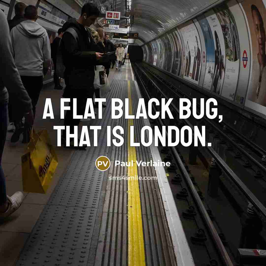“A flat black bug, that is London.” quote by Paul Verlaine