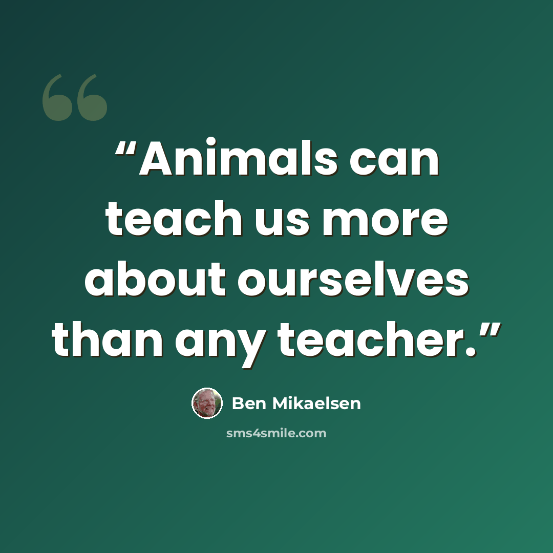 “Animals can teach us more about ourselves than any teacher.” quote by Ben Mikaelsen