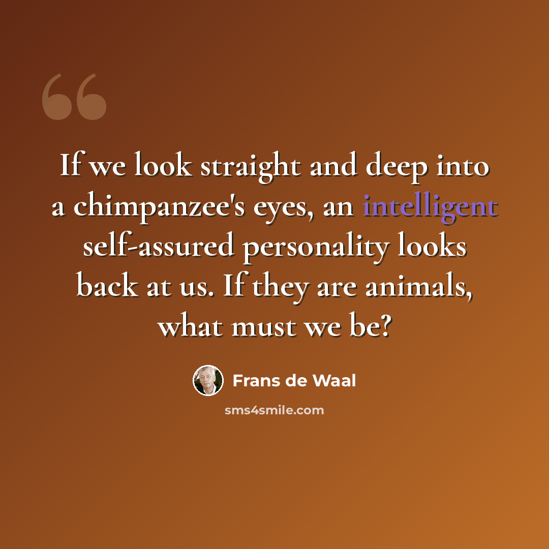 “If we look straight and deep into a chimpanzee's eyes, an intelligent self-assured personality looks back at us. If they are animals, what must we be?” quote by Frans de Waal
