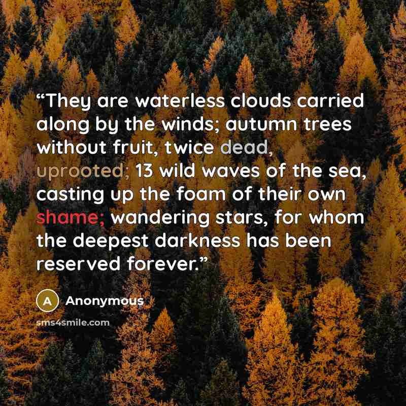 “They are waterless clouds carried along by the winds; autumn trees without fruit, twice dead, uprooted; 13 wild waves of the sea, casting up the foam of their own shame; wandering stars, for whom the deepest darkness has been reserved forever.” quote by Anonymous
