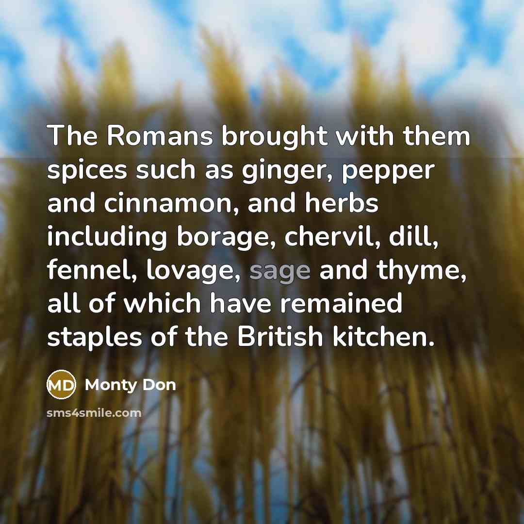 “The Romans brought with them spices such as ginger, pepper and cinnamon, and herbs including borage, chervil, dill, fennel, lovage, sage and thyme, all of which have remained staples of the British kitchen.” quote by Monty Don