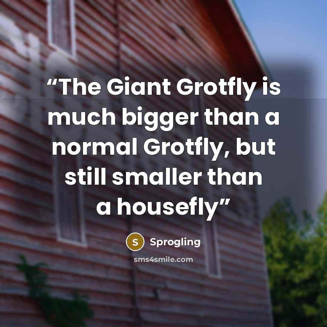 “The Giant Grotfly is much bigger than a normal Grotfly, but still smaller than a housefly” quote by Sprogling