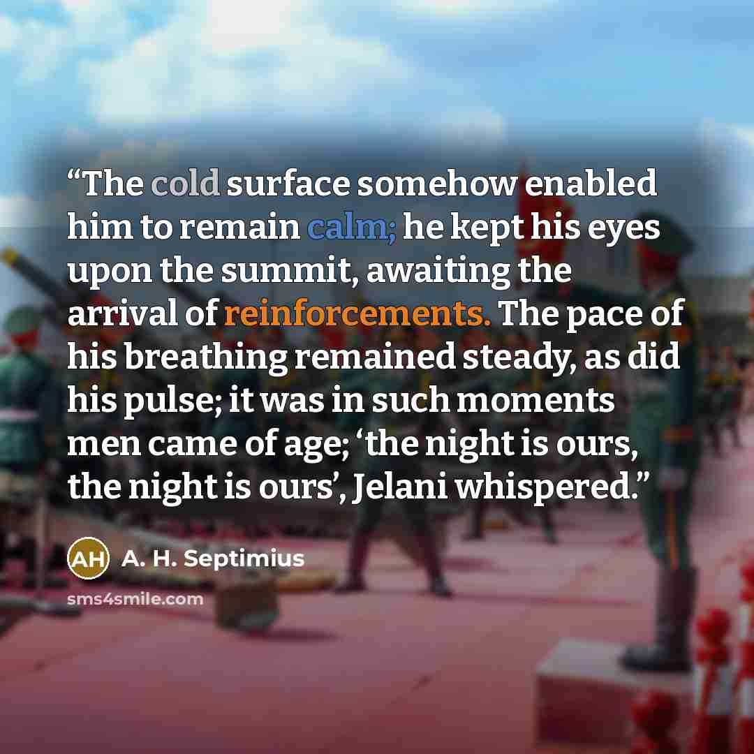 “The cold surface somehow enabled him to remain calm; he kept his eyes upon the summit, awaiting the arrival of reinforcements. The pace of his breathing remained steady, as did his pulse; it was in such moments men came of age; ‘the night is ours, the night is ours’, Jelani whispered.” quote by A. H. Septimius