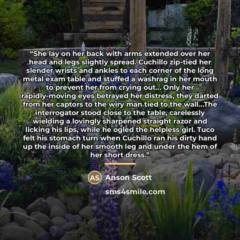“She lay on her back with arms extended over her head and legs slightly spread. Cuchillo zip-tied her slender wrists and ankles to each corner of the long metal exam table and stuffed a washrag in her mouth to prevent her from crying out… Only her rapidly-moving eyes betrayed her distress, they…” quote by Anson Scott