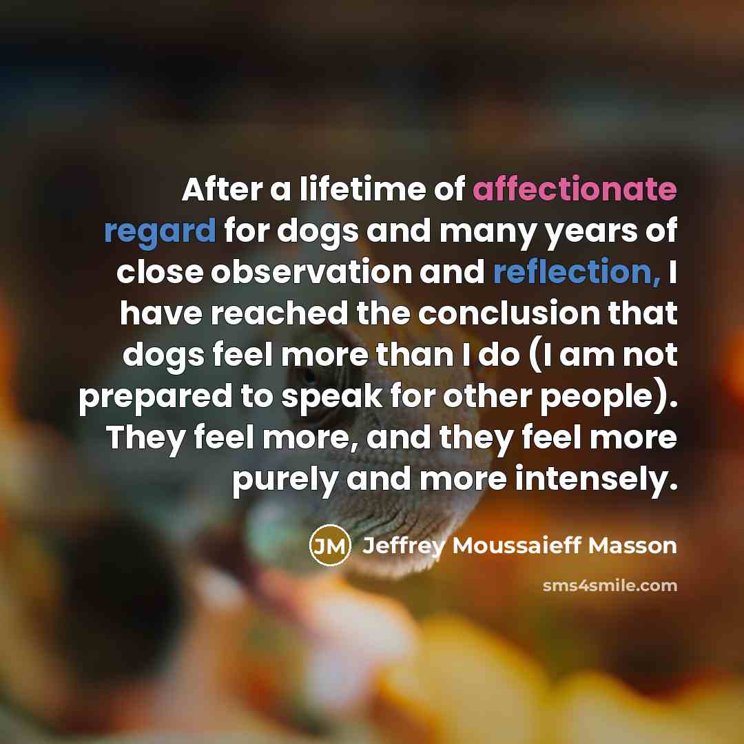 “After a lifetime of affectionate regard for dogs and many years of close observation and reflection, I have reached the conclusion that dogs feel more than I do (I am not prepared to speak for other people). They feel more, and they feel more purely and more intensely.” quote by Jeffrey Moussaieff Masson