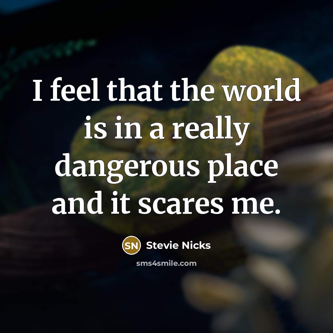 “I feel that the world is in a really dangerous place and it scares me.” quote by Stevie Nicks
