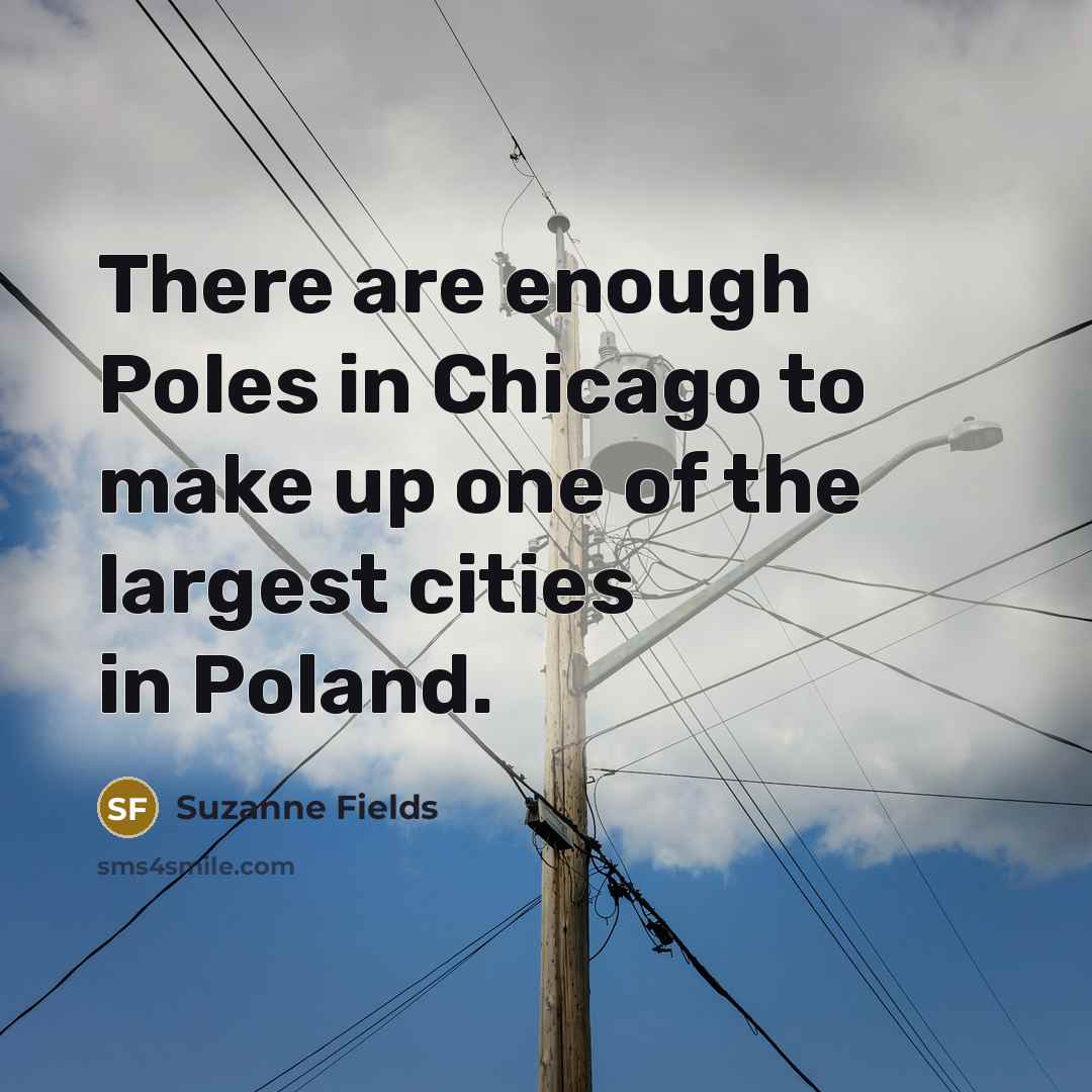 “There are enough Poles in Chicago to make up one of the largest cities in Poland.” quote by Suzanne Fields