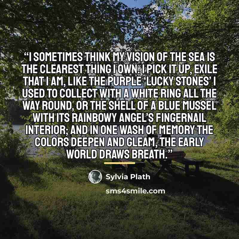 “I sometimes think my vision of the sea is the clearest thing I own. I pick it up, exile that I am, like the purple ‘lucky stones’ I used to collect with a white ring all the way round, or the shell of a blue mussel with its rainbowy angel’s fingernail interior; and in one wash of memory the colors…” quote by Sylvia Plath