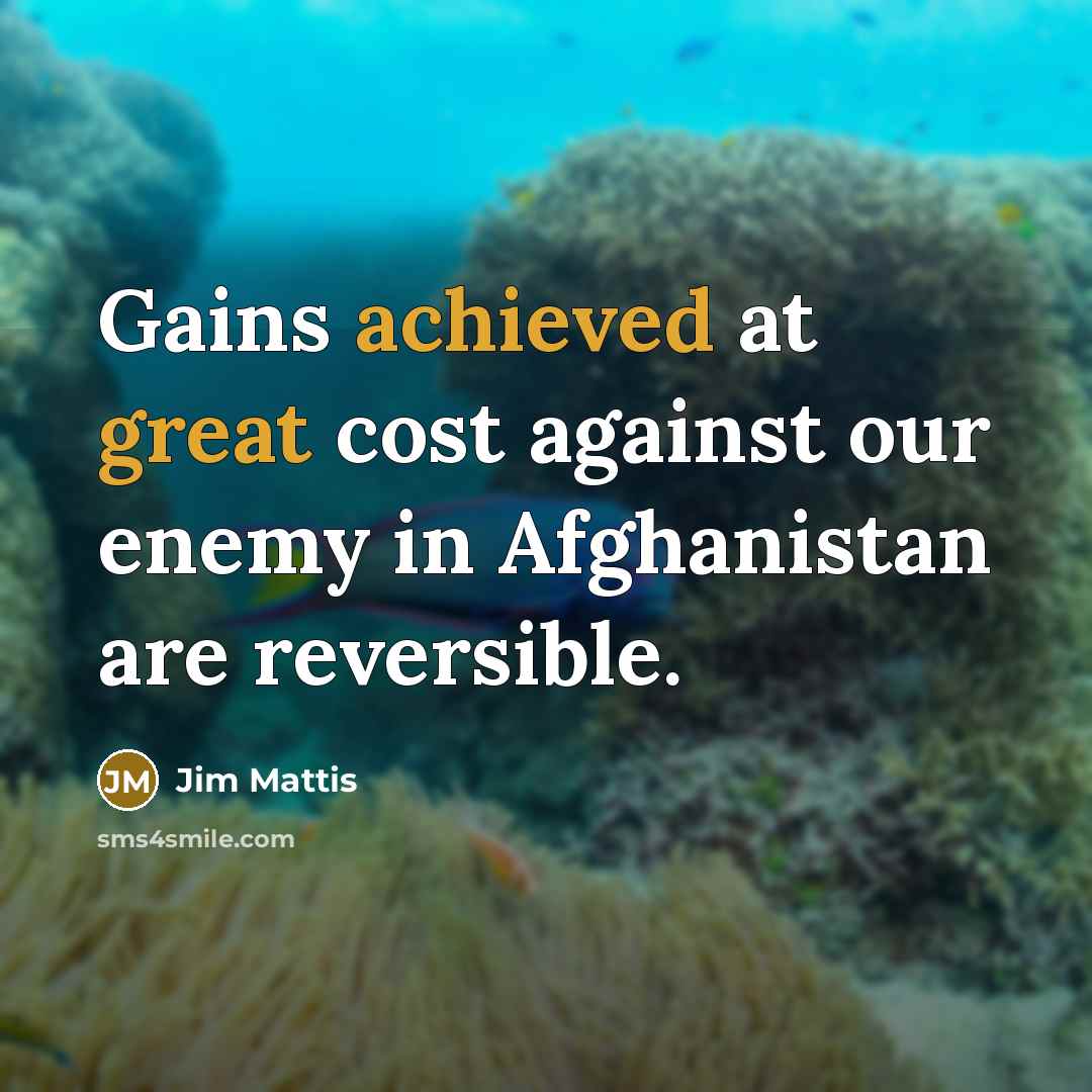 “Gains achieved at great cost against our enemy in Afghanistan are reversible.” quote by Jim Mattis