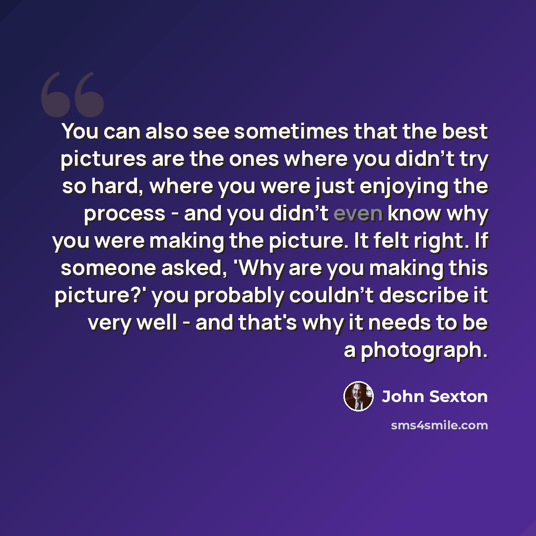 “You can also see sometimes that the best pictures are the ones where you didn't try so hard, where you were just enjoying the process - and you didn't even know why you were making the picture. It felt right. If someone asked, 'Why are you making this picture?' you probably couldn't describe it…” quote by John Sexton