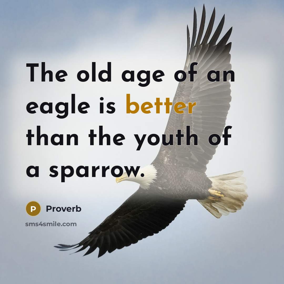 “The old age of an eagle is better than the youth of a sparrow.” quote by Proverb
