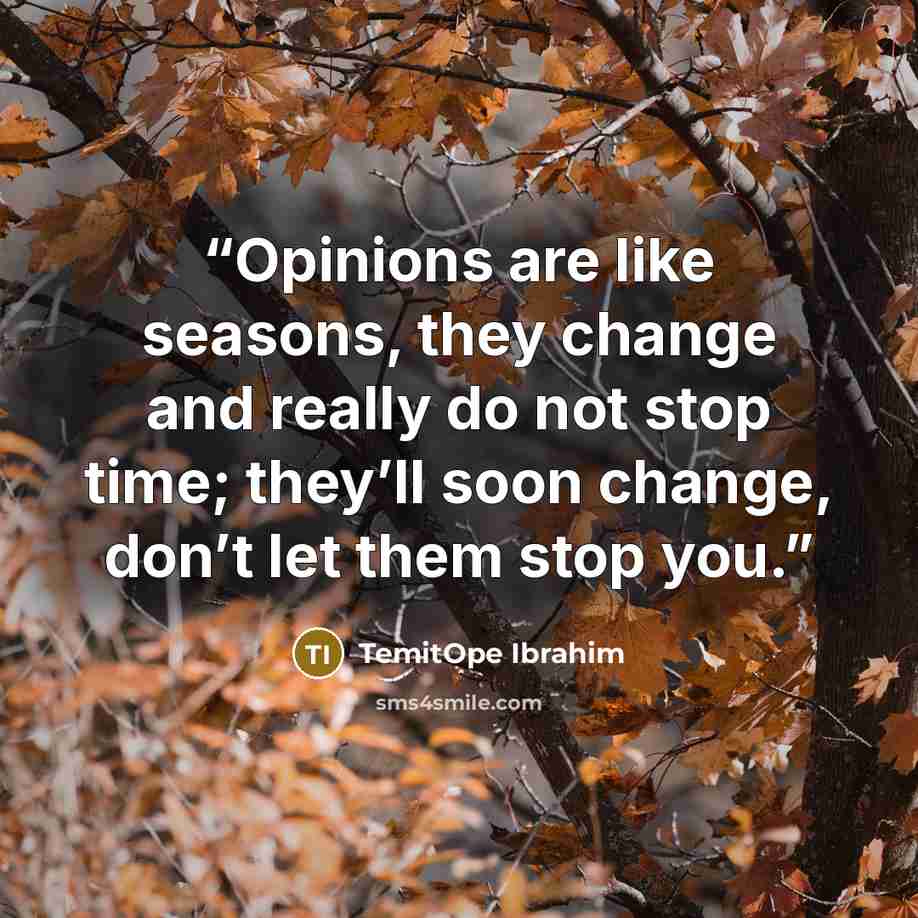 “Opinions are like seasons, they change and really do not stop time; they’ll soon change, don’t let them stop you.” quote by TemitOpe Ibrahim