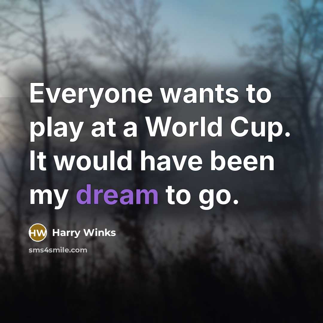 “Everyone wants to play at a World Cup. It would have been my dream to go.” quote by Harry Winks