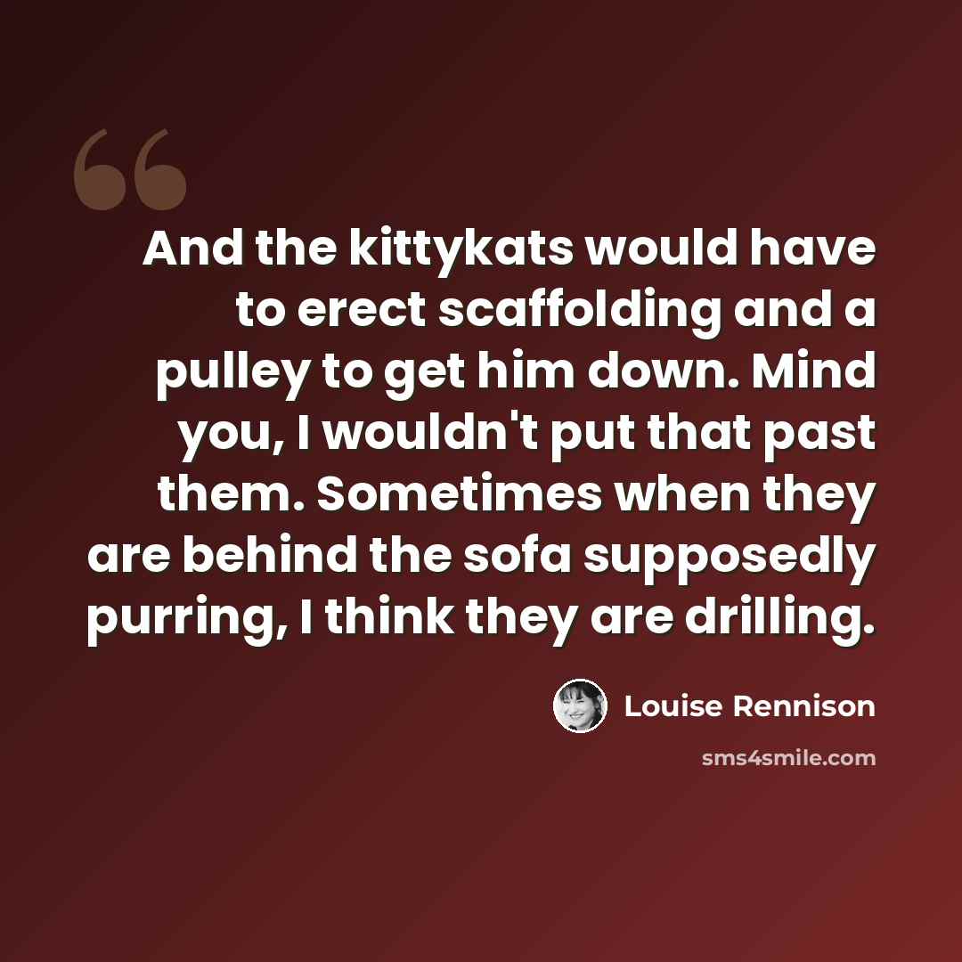 “And the kittykats would have to erect scaffolding and a pulley to get him down. Mind you, I wouldn't put that past them. Sometimes when they are behind the sofa supposedly purring, I think they are drilling.” quote by Louise Rennison