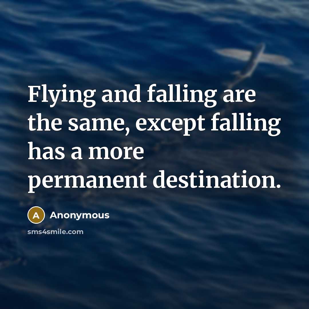 “Flying and falling are the same, except falling has a more permanent destination.” quote by Anonymous