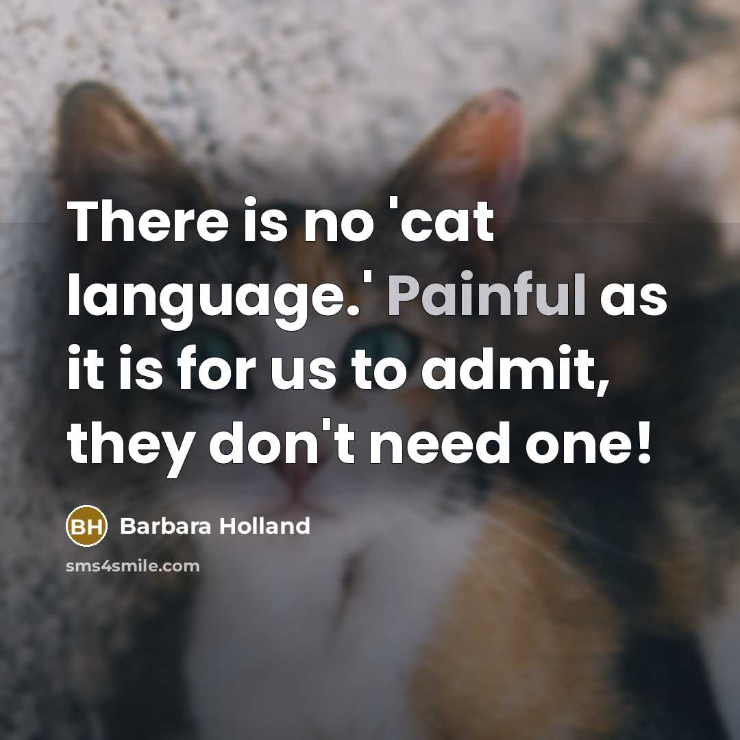 “There is no 'cat language.' Painful as it is for us to admit, they don't need one!” quote by Barbara Holland
