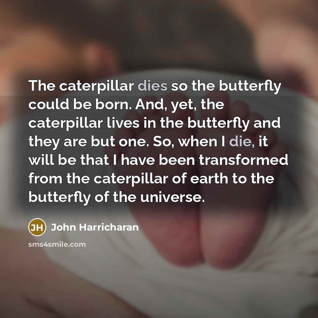 “The caterpillar dies so the butterfly could be born. And, yet, the caterpillar lives in the butterfly and they are but one. So, when I die, it will be that I have been transformed from the caterpillar of earth to the butterfly of the universe.” quote by John Harricharan