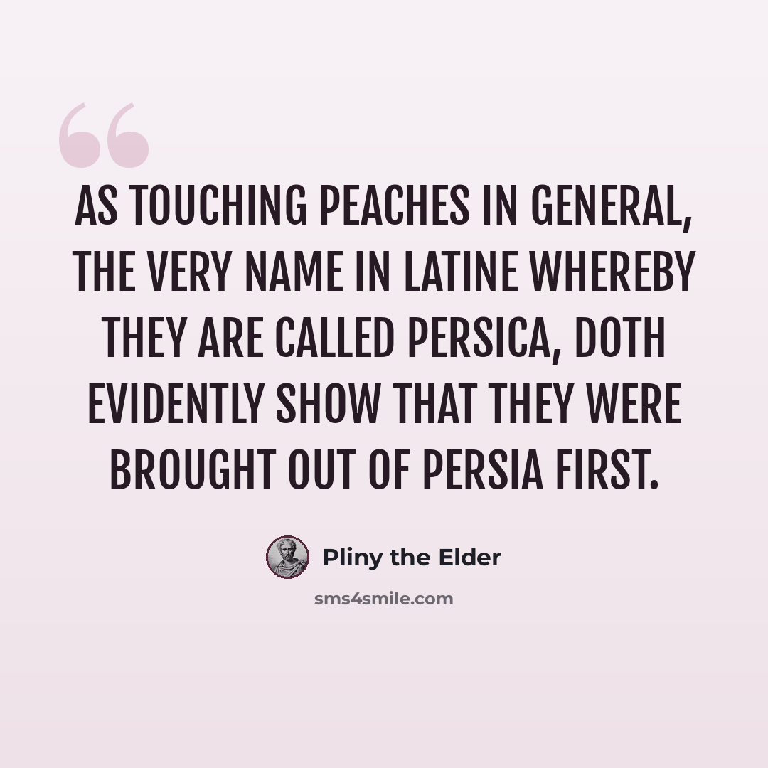 “As touching peaches in general, the very name in Latine whereby they are called Persica, doth evidently show that they were brought out of Persia first.” quote by Pliny the Elder