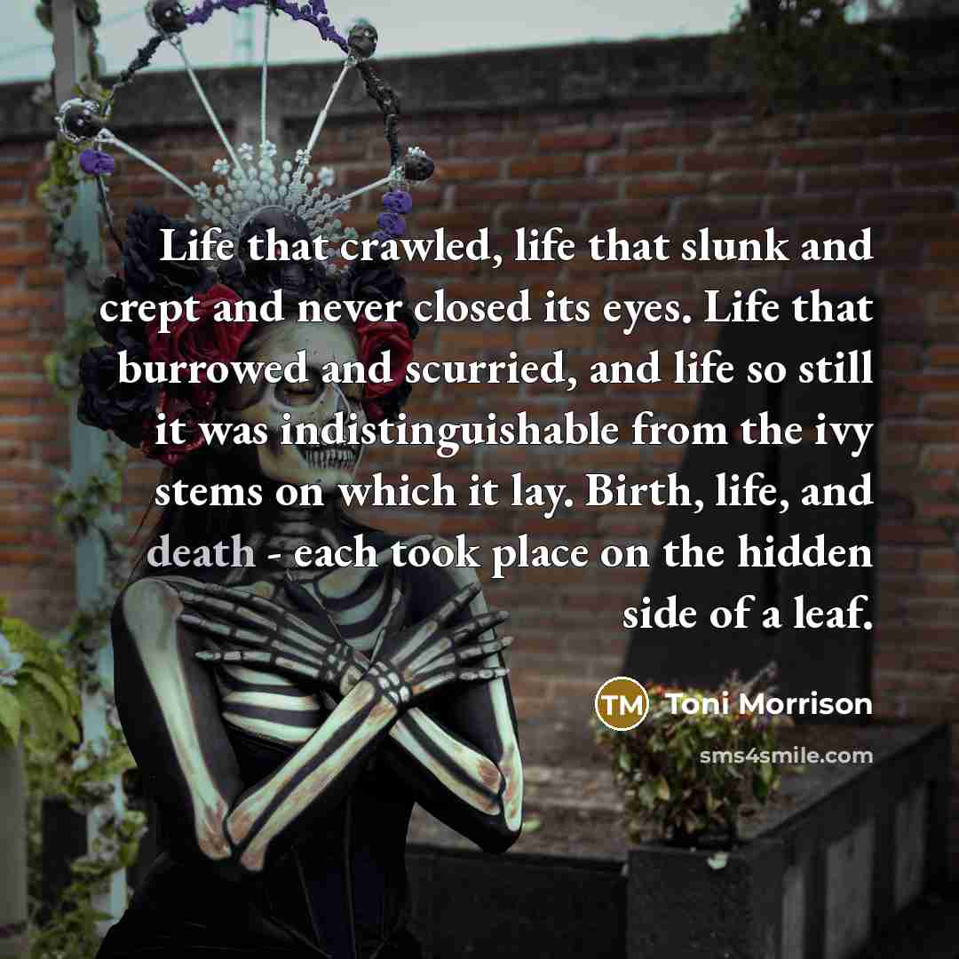 “Life that crawled, life that slunk and crept and never closed its eyes. Life that burrowed and scurried, and life so still it was indistinguishable from the ivy stems on which it lay. Birth, life, and death - each took place on the hidden side of a leaf.” quote by Toni Morrison
