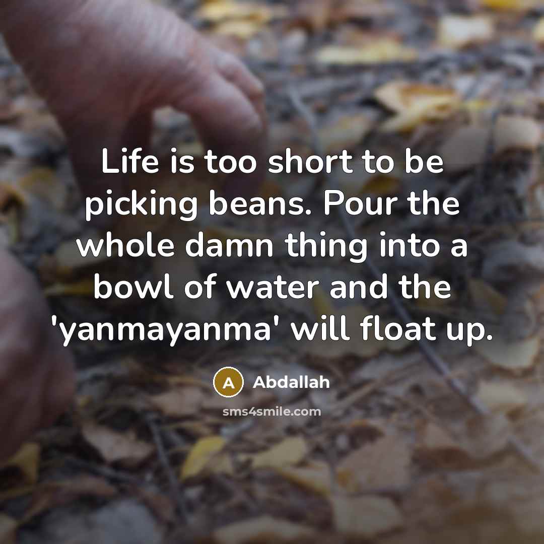 “Life is too short to be picking beans. Pour the whole damn thing into a bowl of water and the 'yanmayanma' will float up.” quote by Abdallah