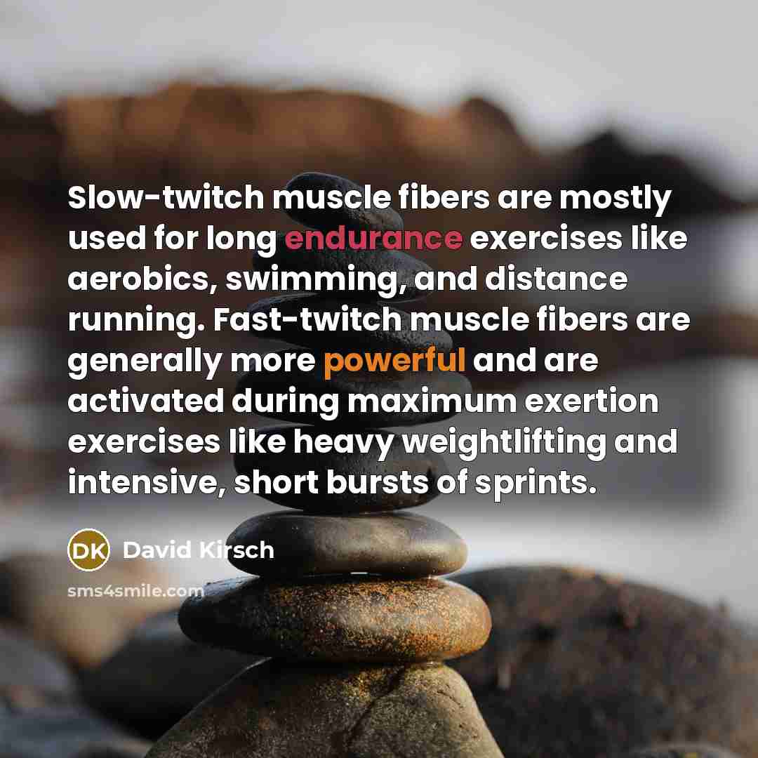 “Slow-twitch muscle fibers are mostly used for long endurance exercises like aerobics, swimming, and distance running. Fast-twitch muscle fibers are generally more powerful and are activated during maximum exertion exercises like heavy weightlifting and intensive, short bursts of sprints.” quote by David Kirsch