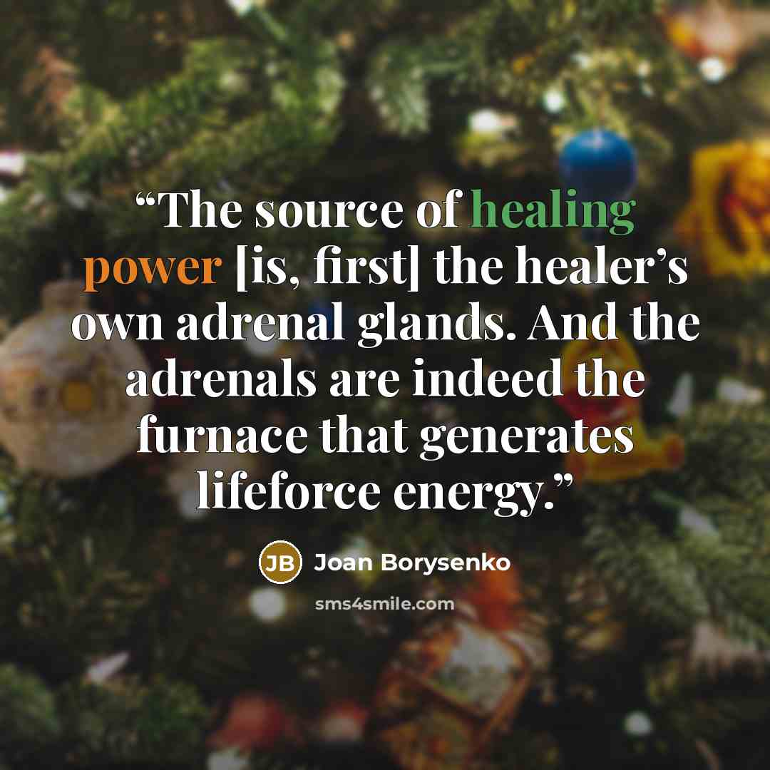 “The source of healing power [is, first] the healer’s own adrenal glands. And the adrenals are indeed the furnace that generates lifeforce energy.” quote by Joan Borysenko