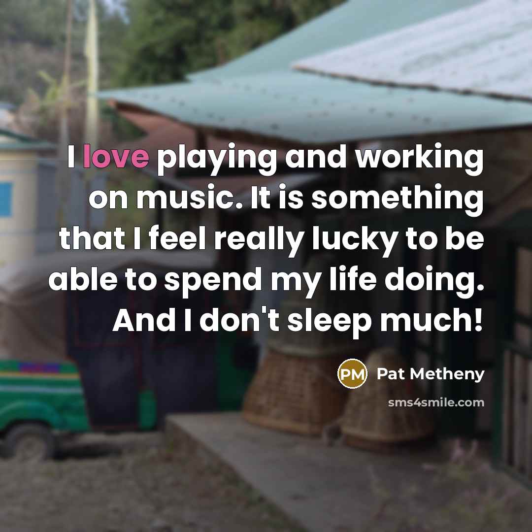 “I love playing and working on music. It is something that I feel really lucky to be able to spend my life doing. And I don't sleep much!” quote by Pat Metheny