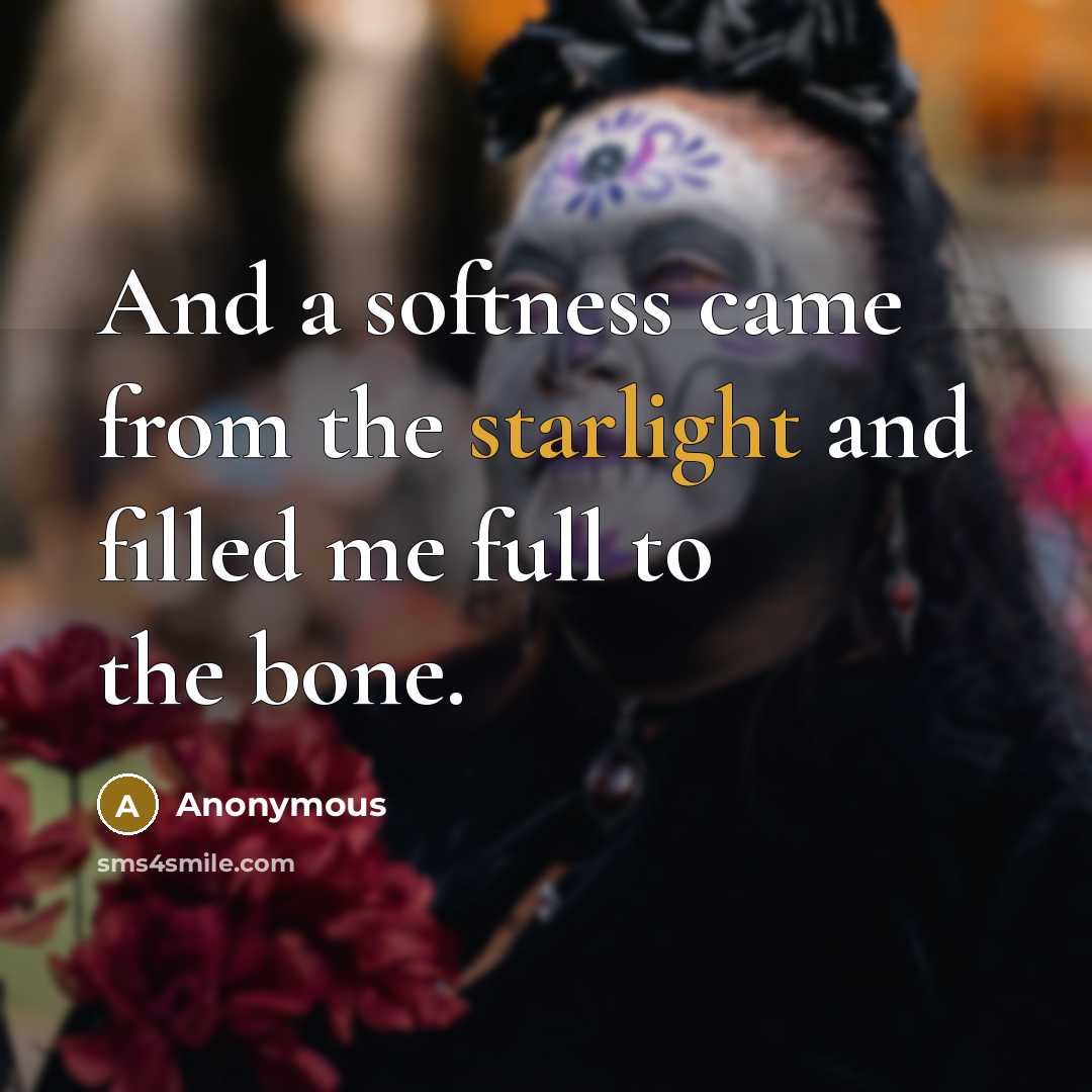 “And a softness came from the starlight and filled me full to the bone.” quote by Anonymous