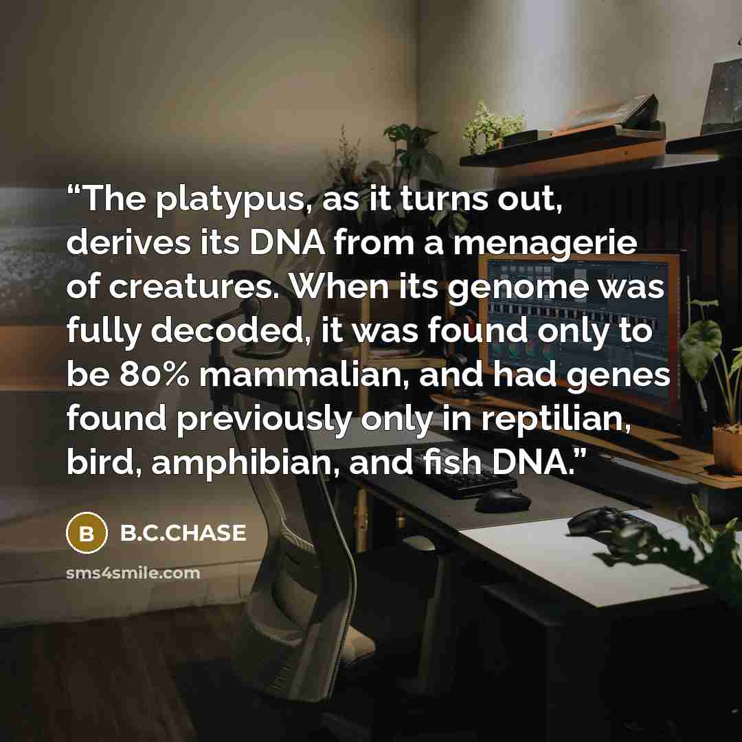 “The platypus, as it turns out, derives its DNA from a menagerie of creatures. When its genome was fully decoded, it was found only to be 80% mammalian, and had genes found previously only in reptilian, bird, amphibian, and fish DNA.” quote by B.C.CHASE