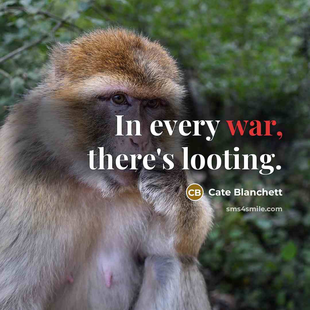 “In every war, there's looting.” quote by Cate Blanchett