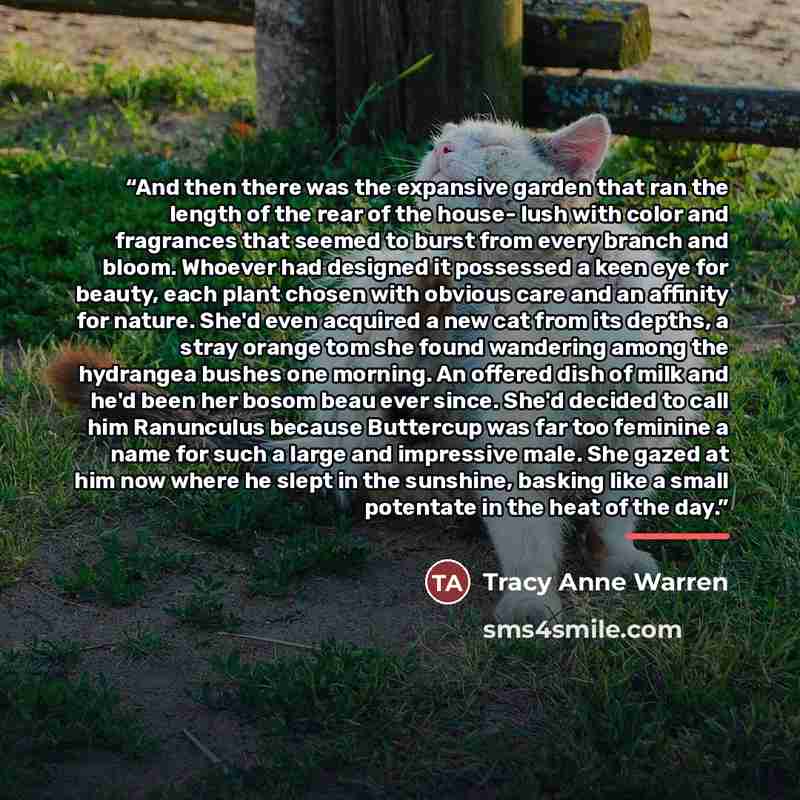 “And then there was the expansive garden that ran the length of the rear of the house- lush with color and fragrances that seemed to burst from every branch and bloom. Whoever had designed it possessed a keen eye for beauty, each plant chosen with obvious care and an affinity for nature. She'd even…” quote by Tracy Anne Warren