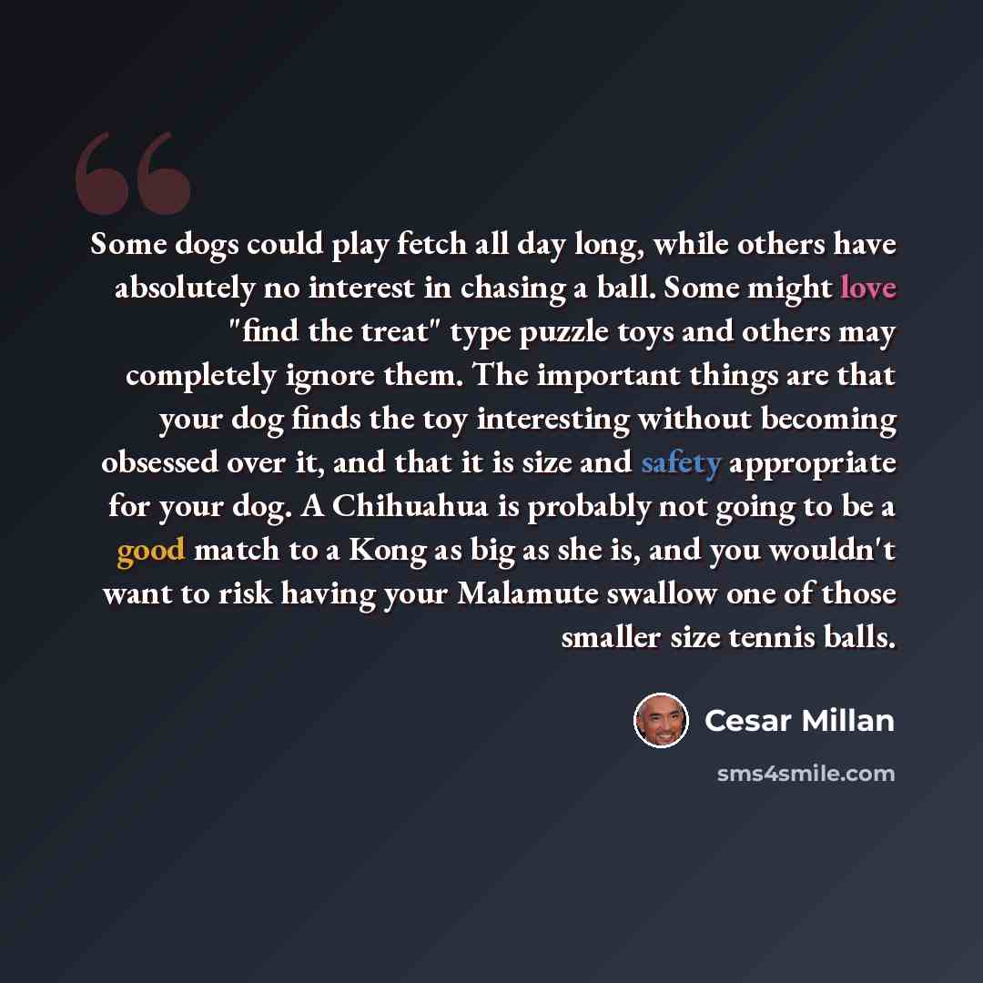 “Some dogs could play fetch all day long, while others have absolutely no interest in chasing a ball. Some might love "find the treat" type puzzle toys and others may completely ignore them. The important things are that your dog finds the toy interesting without becoming obsessed over it, and that…” quote by Cesar Millan