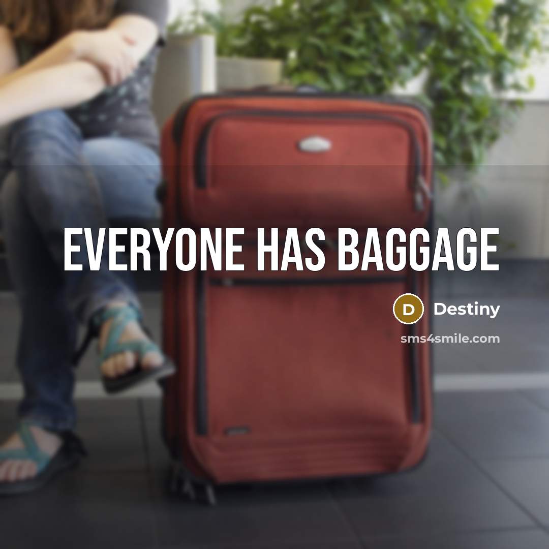 “Everyone has baggage” quote by Destiny
