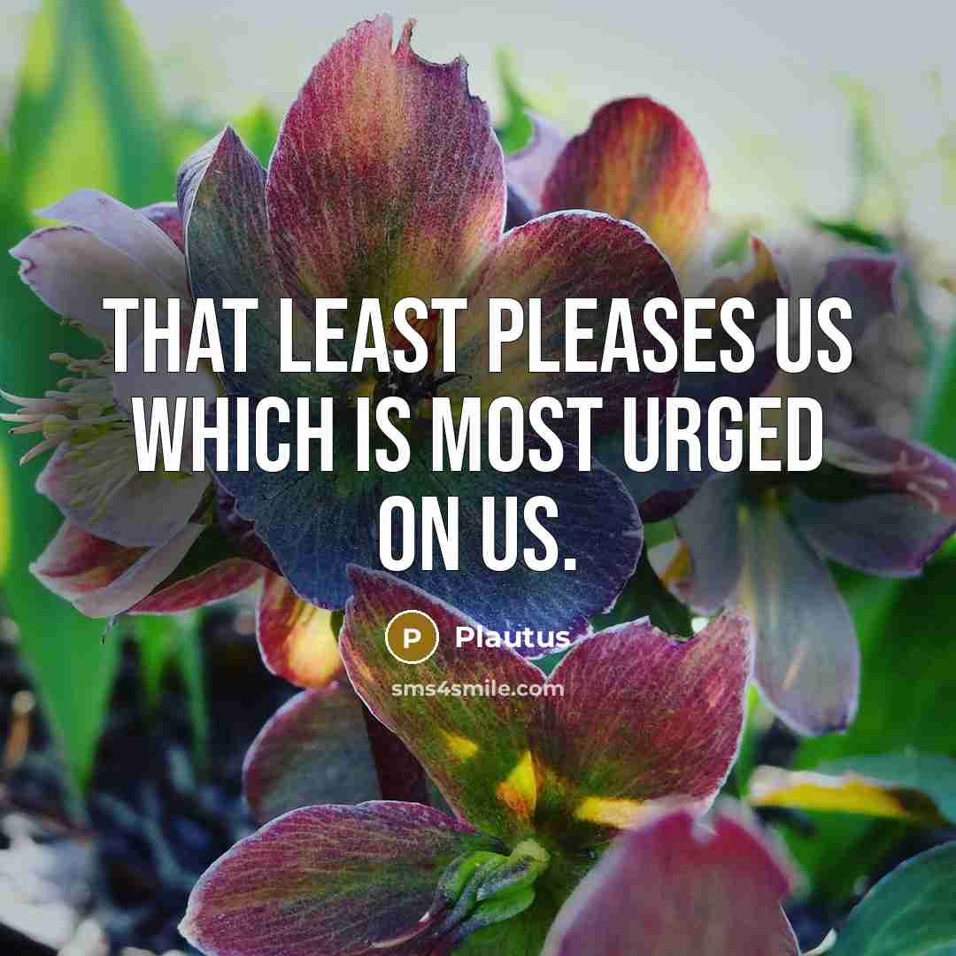 “That least pleases us which is most urged on us.” quote by Plautus