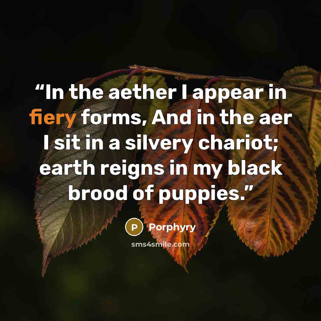 “In the aether I appear in fiery forms, And in the aer I sit in a silvery chariot; earth reigns in my black brood of puppies.” quote by Porphyry