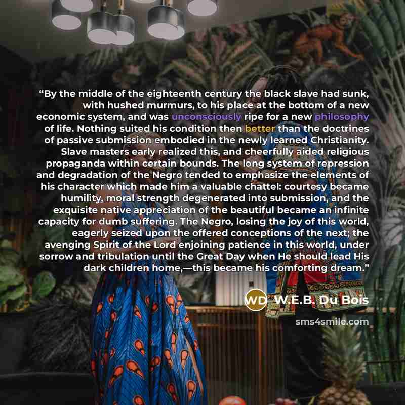 “By the middle of the eighteenth century the black slave had sunk, with hushed murmurs, to his place at the bottom of a new economic system, and was unconsciously ripe for a new philosophy of life. Nothing suited his condition then better than the doctrines of passive submission embodied in the…” quote by W.E.B. Du Bois
