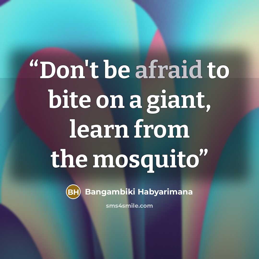 “Don't be afraid to bite on a giant, learn from the mosquito” quote by Bangambiki Habyarimana