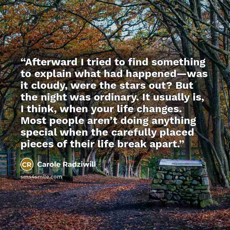 “Afterward I tried to find something to explain what had happened—was it cloudy, were the stars out? But the night was ordinary. It usually is, I think, when your life changes. Most people aren’t doing anything special when the carefully placed pieces of their life break apart.” quote by Carole Radziwill