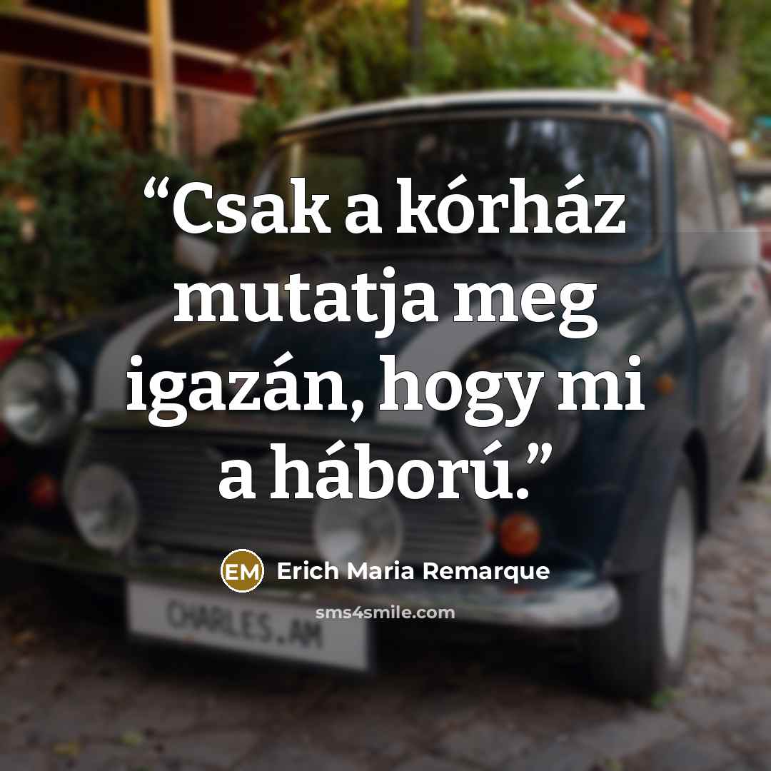 “Csak a kórház mutatja meg igazán, hogy mi a háború.” quote by Erich Maria Remarque