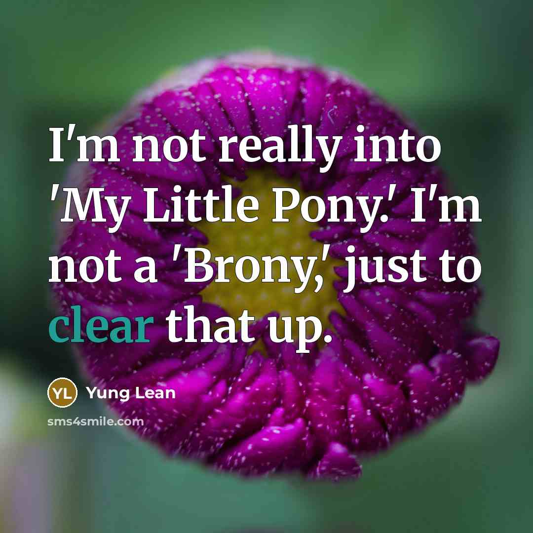 “I'm not really into 'My Little Pony.' I'm not a 'Brony,' just to clear that up.” quote by Yung Lean