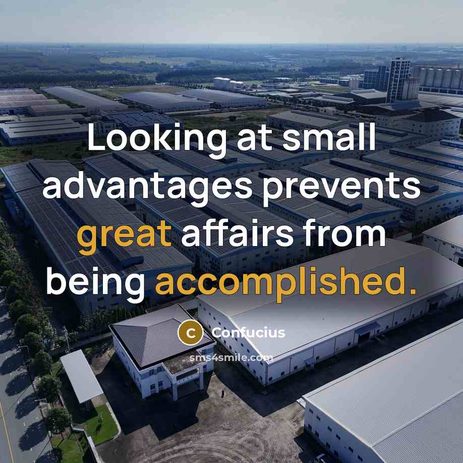 “Looking at small advantages prevents great affairs from being accomplished.” quote by Confucius