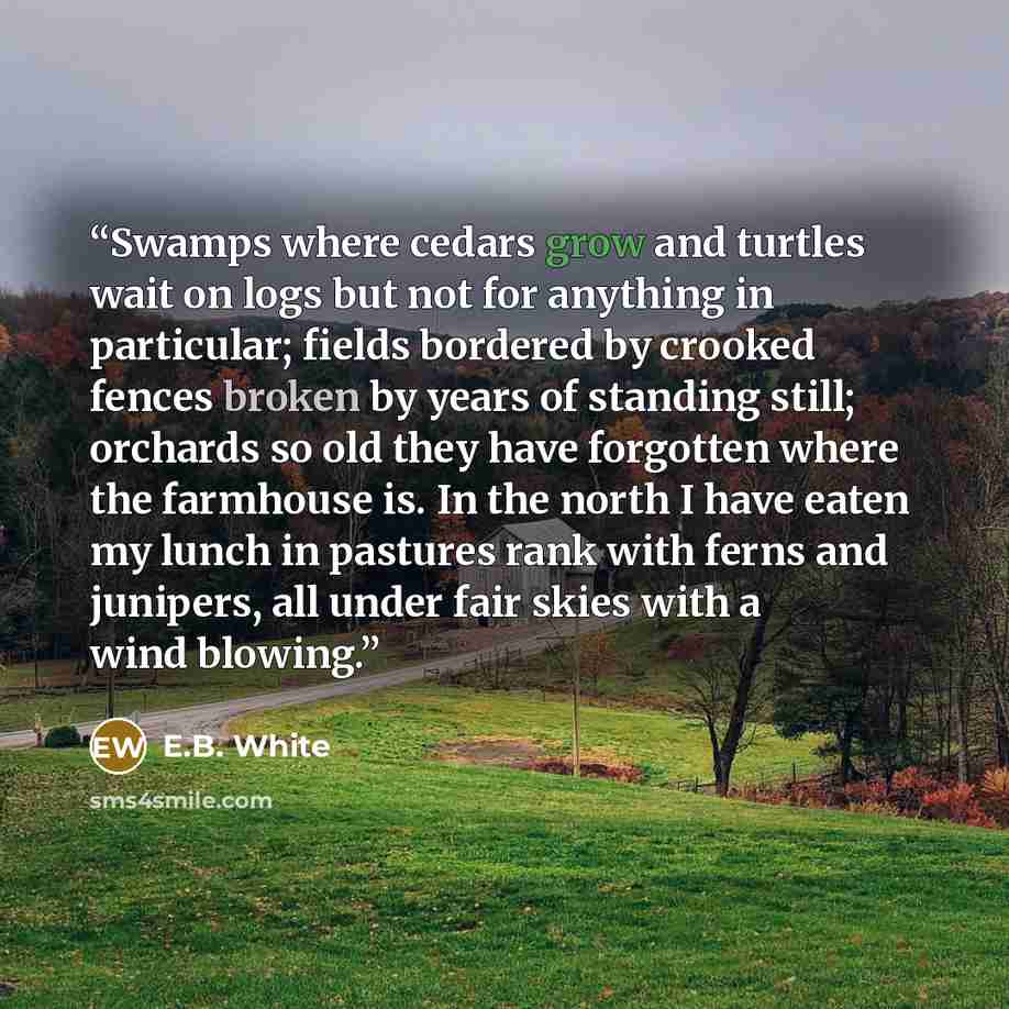 “Swamps where cedars grow and turtles wait on logs but not for anything in particular; fields bordered by crooked fences broken by years of standing still; orchards so old they have forgotten where the farmhouse is. In the north I have eaten my lunch in pastures rank with ferns and junipers, all…” quote by E.B. White