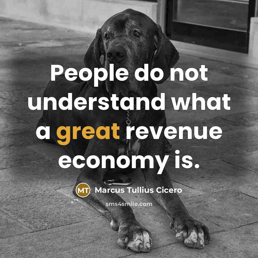 “People do not understand what a great revenue economy is.” quote by Marcus Tullius Cicero