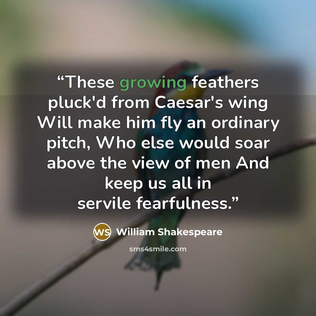 “These growing feathers pluck'd from Caesar's wing Will make him fly an ordinary pitch, Who else would soar above the view of men And keep us all in servile fearfulness.” quote by William Shakespeare
