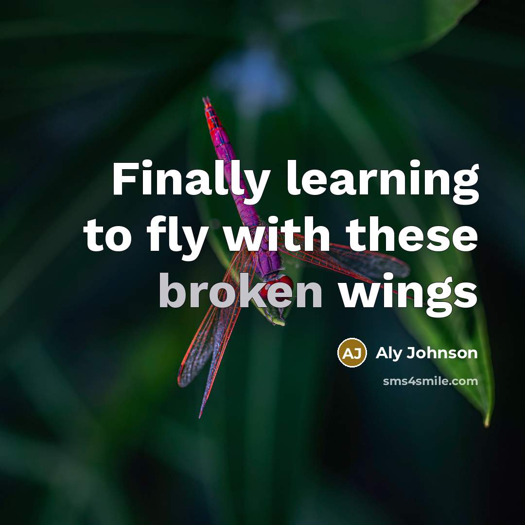 “Finally learning to fly with these broken wings” quote by Aly Johnson