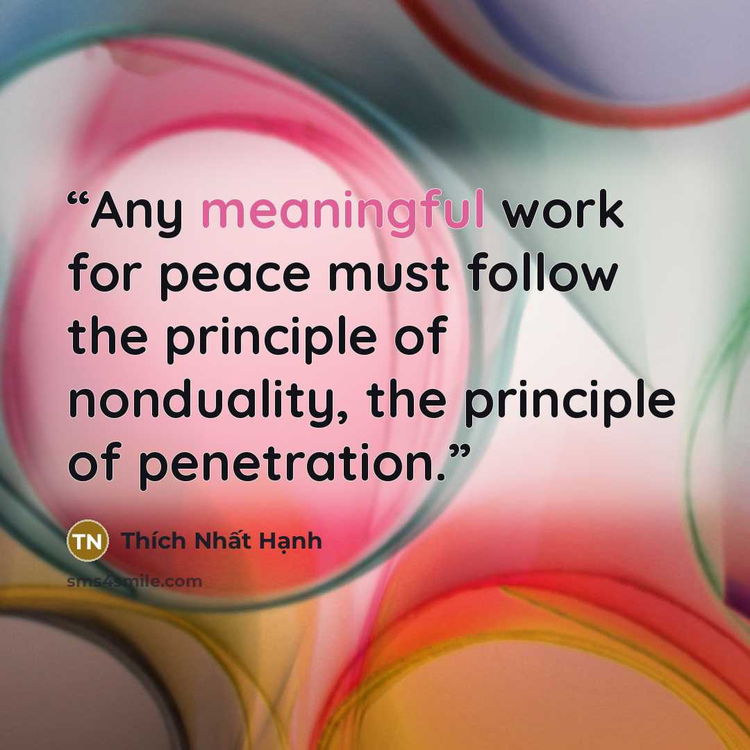 “Any meaningful work for peace must follow the principle of nonduality, the principle of penetration.” quote by Thich Nhat Hanh